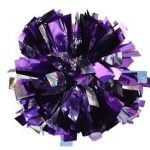 Mixed 2 Colour Cheerleading Pom Pom Example