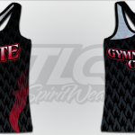Ignite Gymnastics