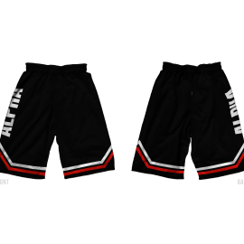 Basketball Shorts – Alpha Athletics