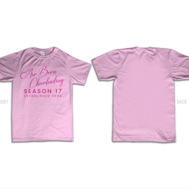 Custom T-shirt – Air Born Cheerleading
